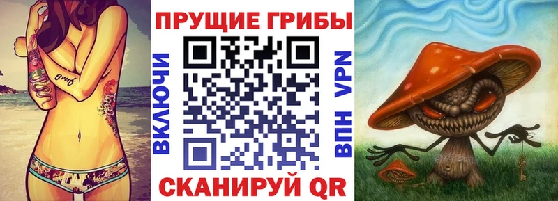 блэк спрут как зайти  купить наркотики цена  Тайшет  Галлюциногенные грибы прущие грибы 
